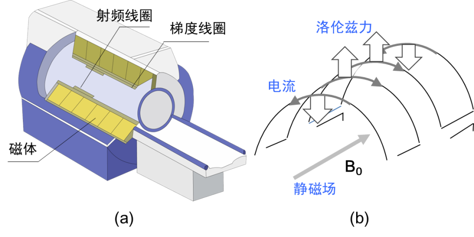 杭州磁聚力科技有限公司：MRI 磁体组件领航者